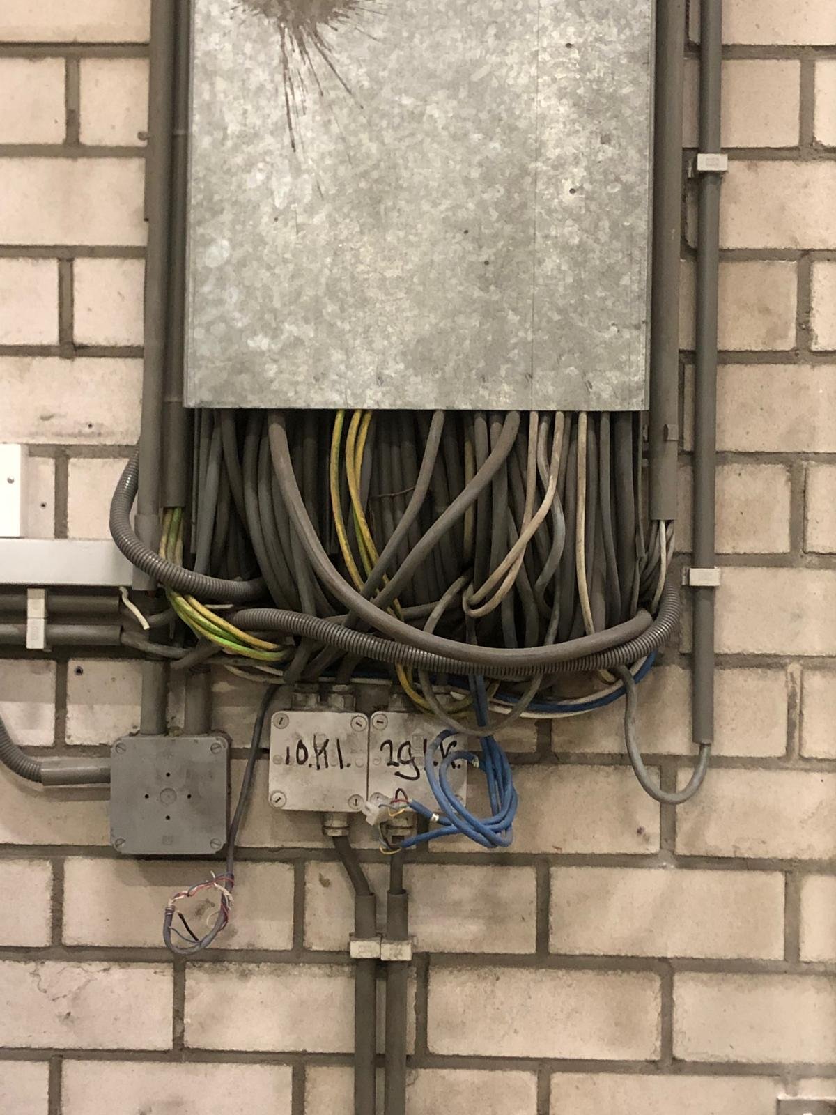 Afbeelding van WhatsApp op 2025-01-23 om 19.14.47_1b91e9c3